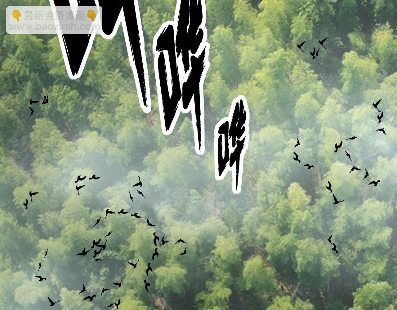 第411话 道友(1/4)-第412话