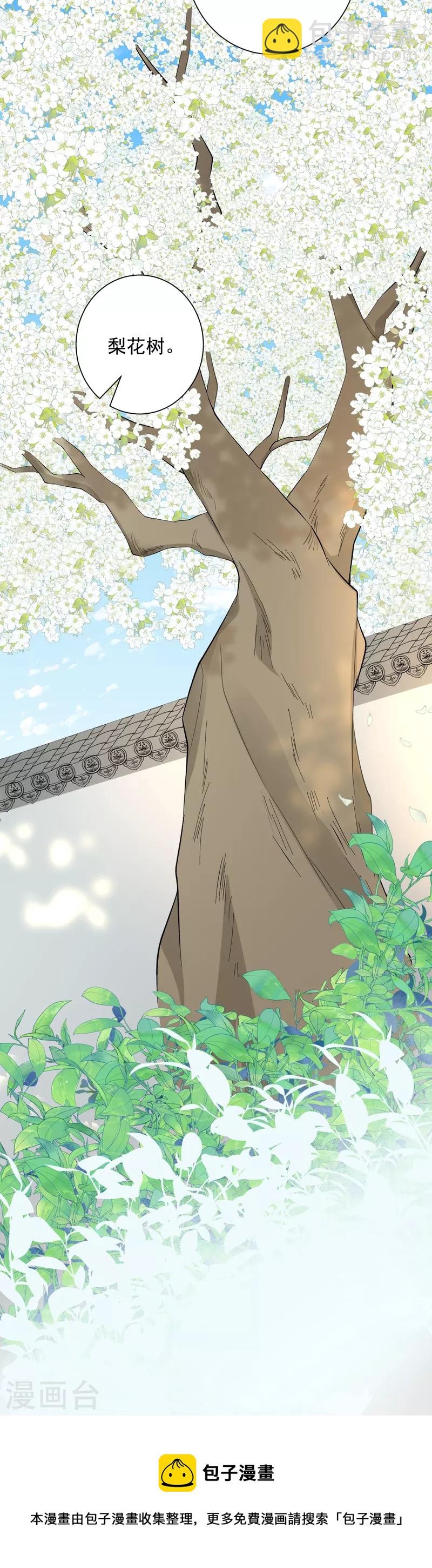 🍼毒医嫡女 第355话 坐等狗咬狗 第37页