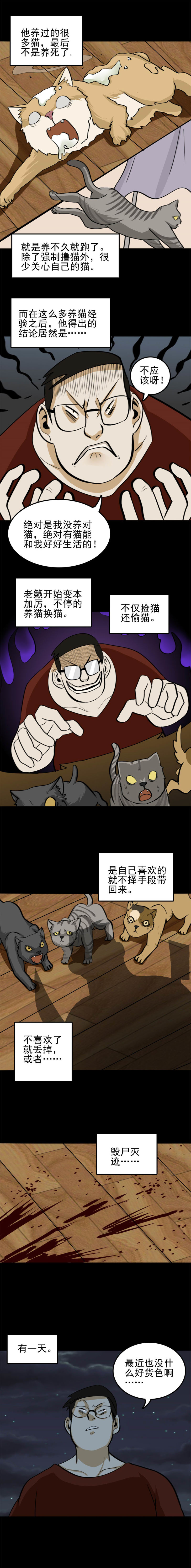 猫咒  第1话-第38话
