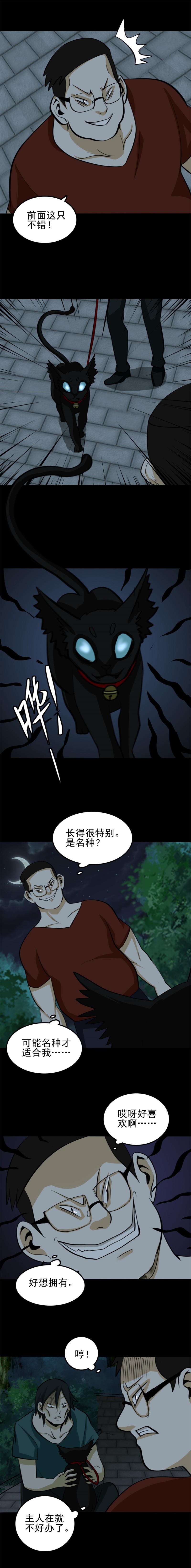 猫咒  第1话-第38话