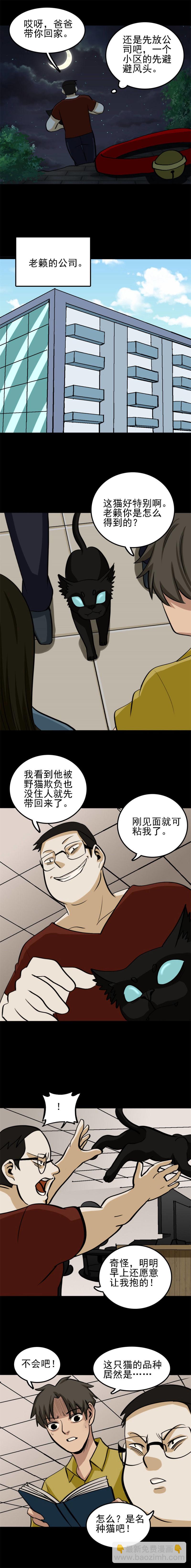 猫咒  第1话-第38话