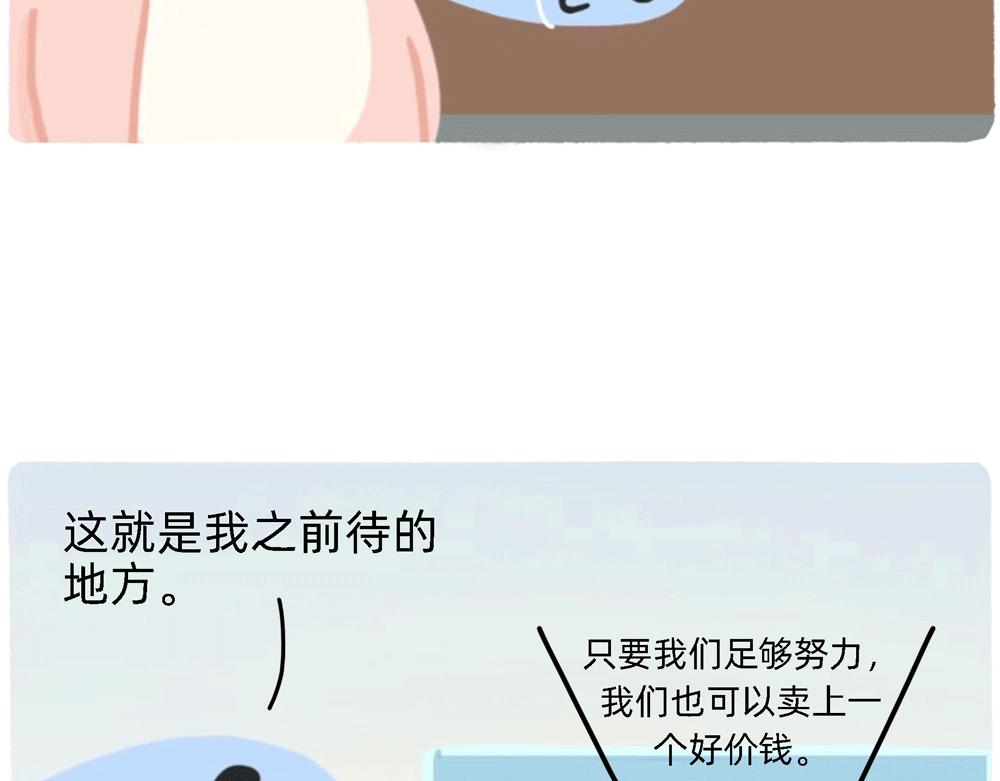 PUA的尽头就是反杀PUA(1/2)-第28话