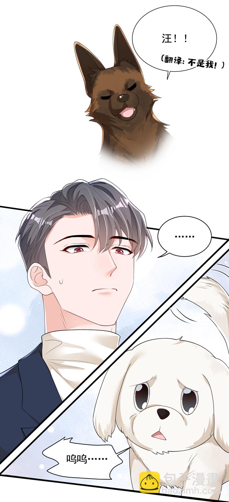 第167话 谁能抗拒毛绒绒呢-第168话