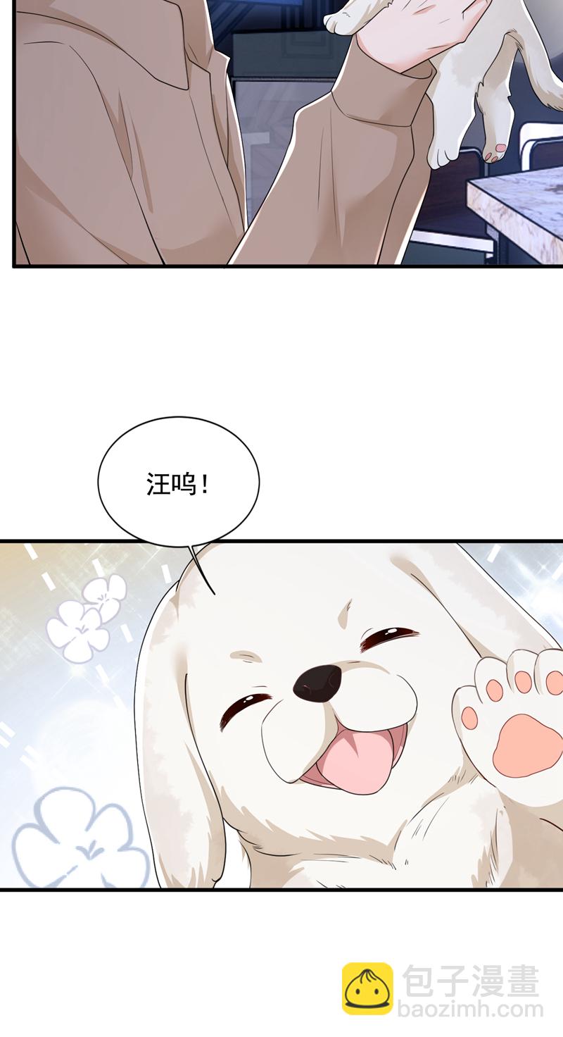第167话 谁能抗拒毛绒绒呢-第168话