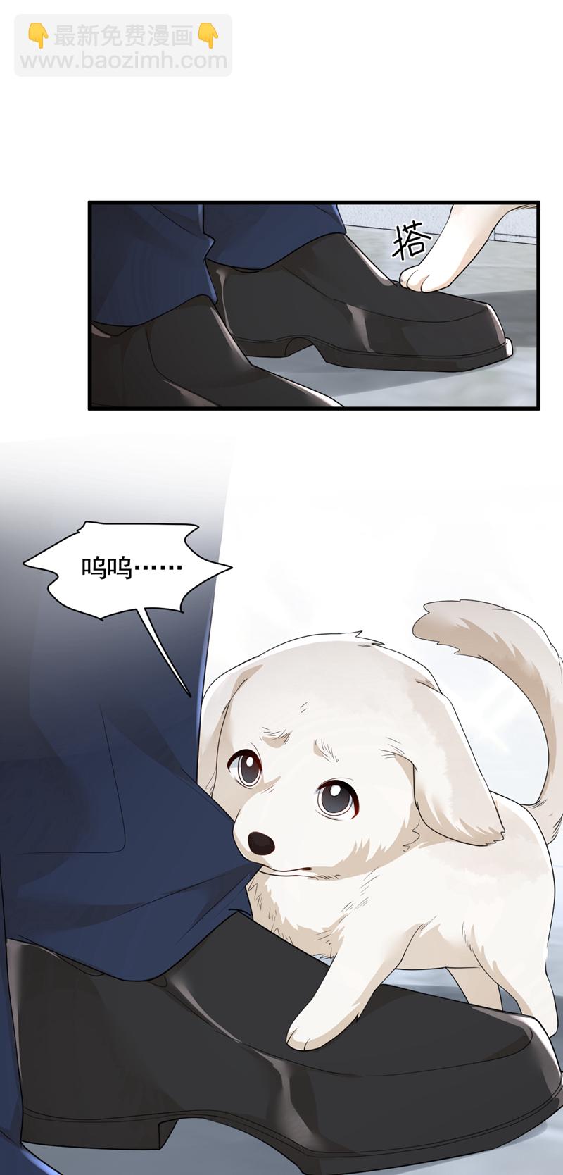 第167话 谁能抗拒毛绒绒呢-第168话