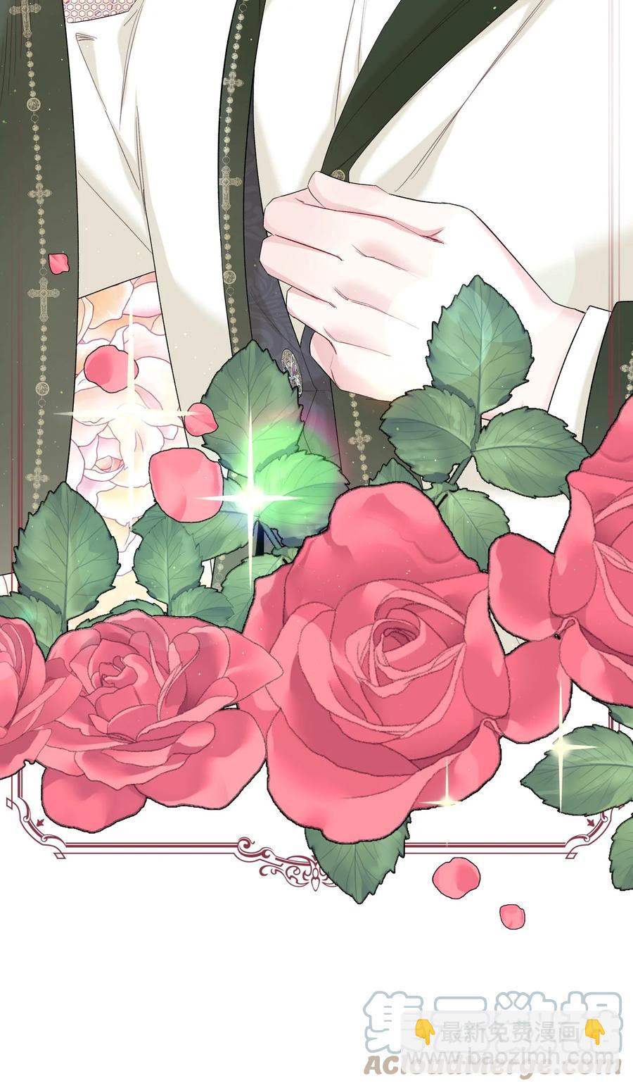 38 卡里安的美貌(1/2)-第38话