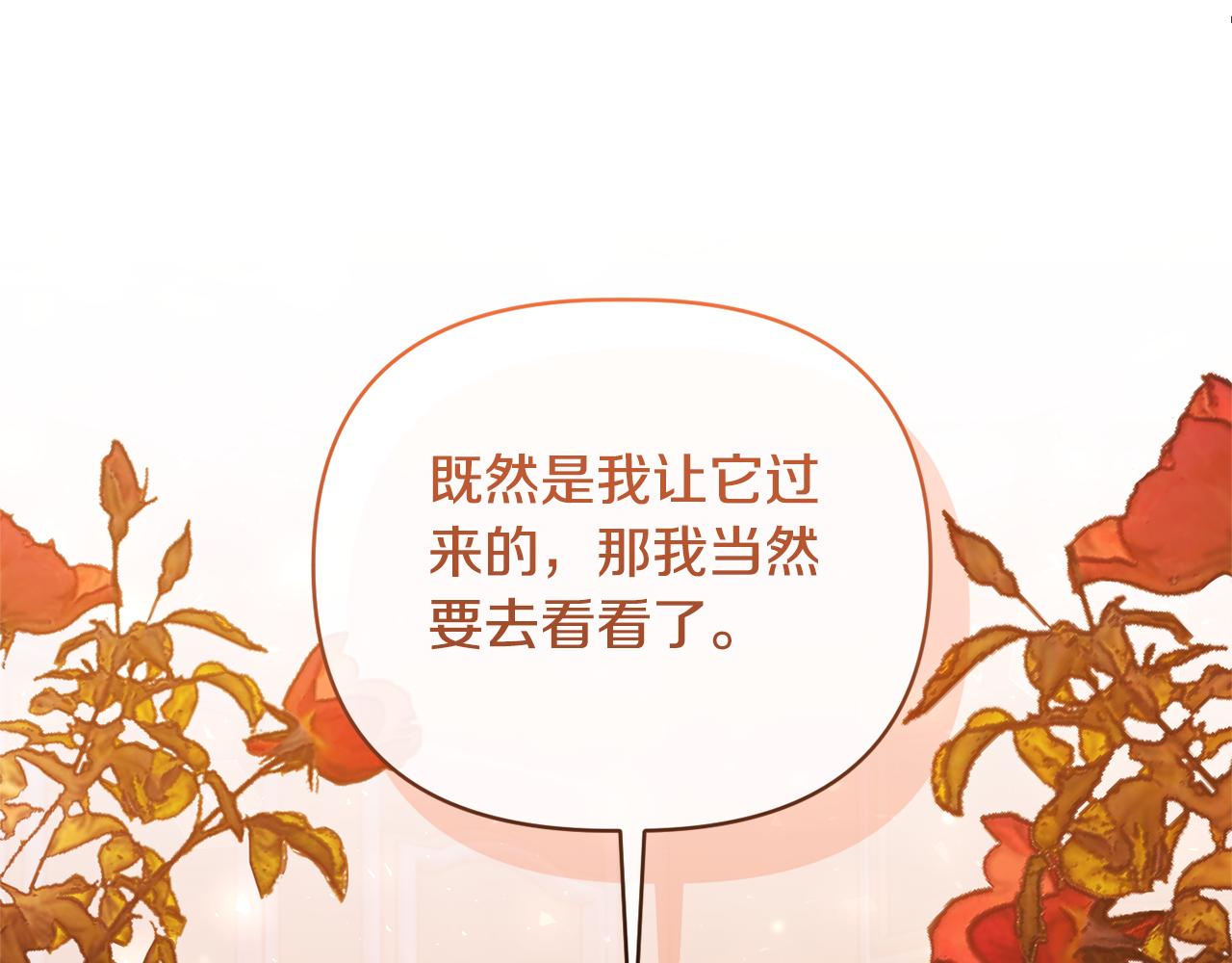 第74话 陛下的礼物(1/4)-第74话