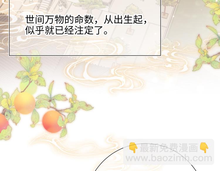33话最稳妥的方法(1/2)-第34话