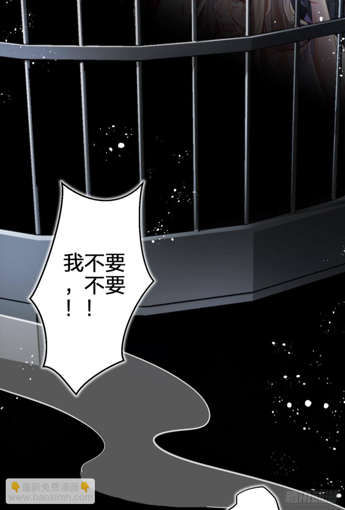 笼中的金丝雀-第66话