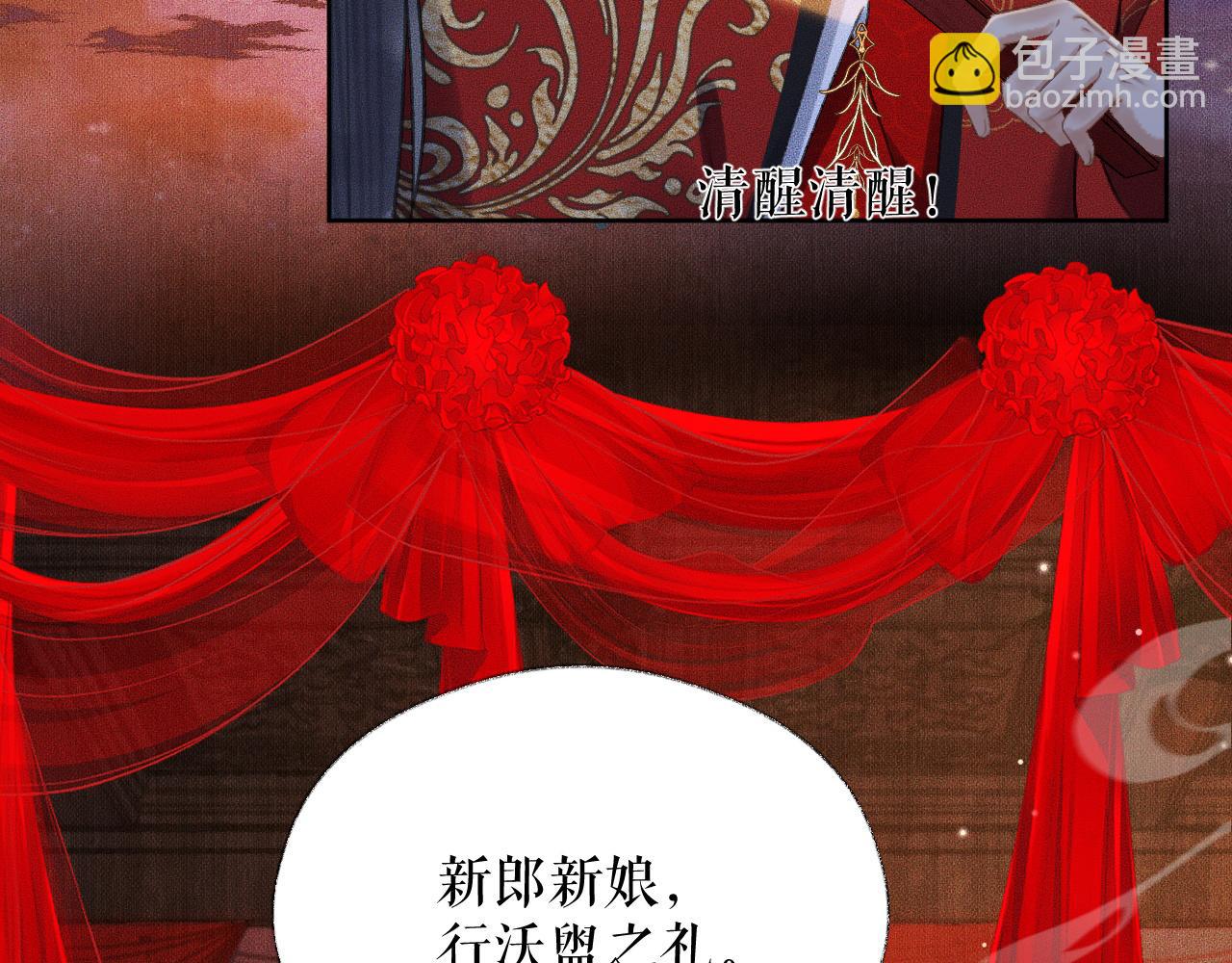 🍺二哈和他的白猫师尊 第19话 礼成入洞房 第28页