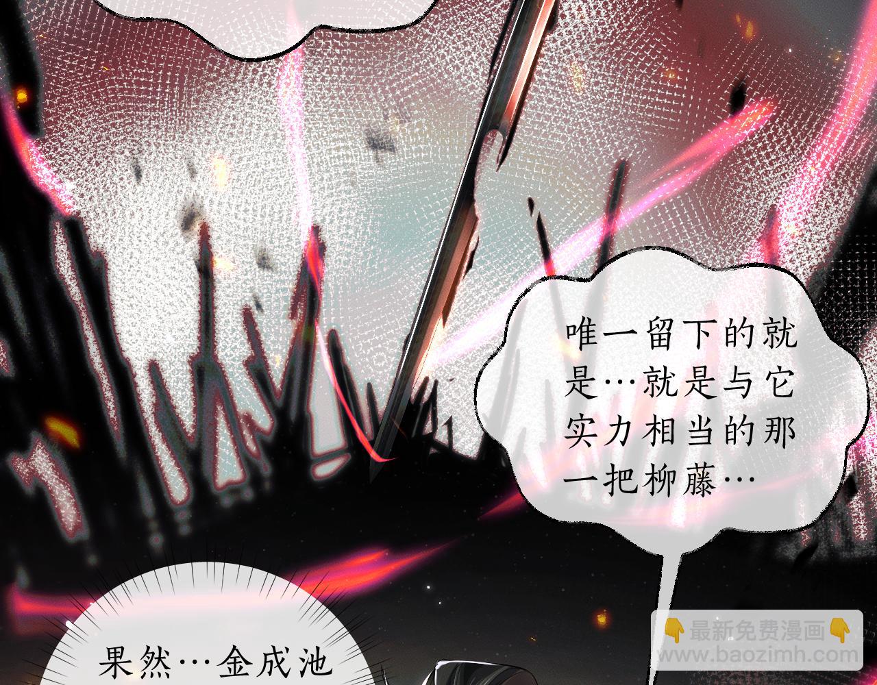 🍺二哈和他的白猫师尊 第68话 再无神武 第13页