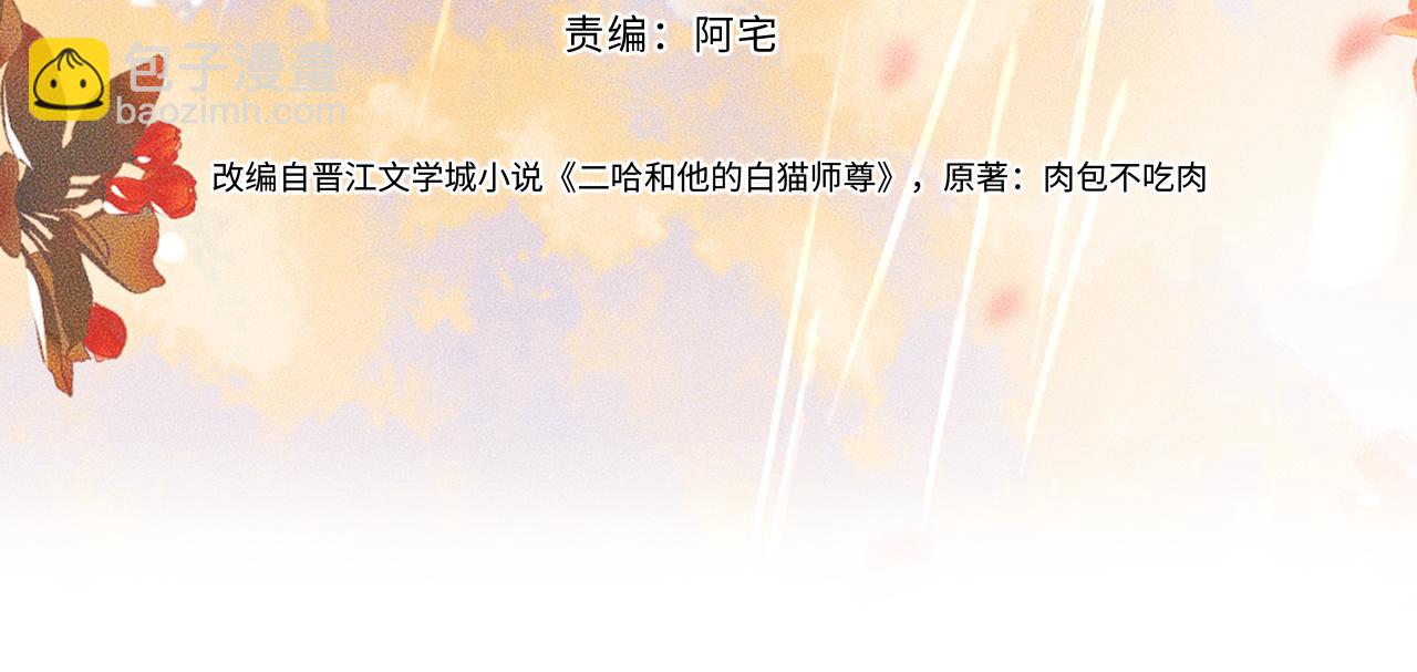 🍺二哈和他的白猫师尊 第68话 再无神武 第3页