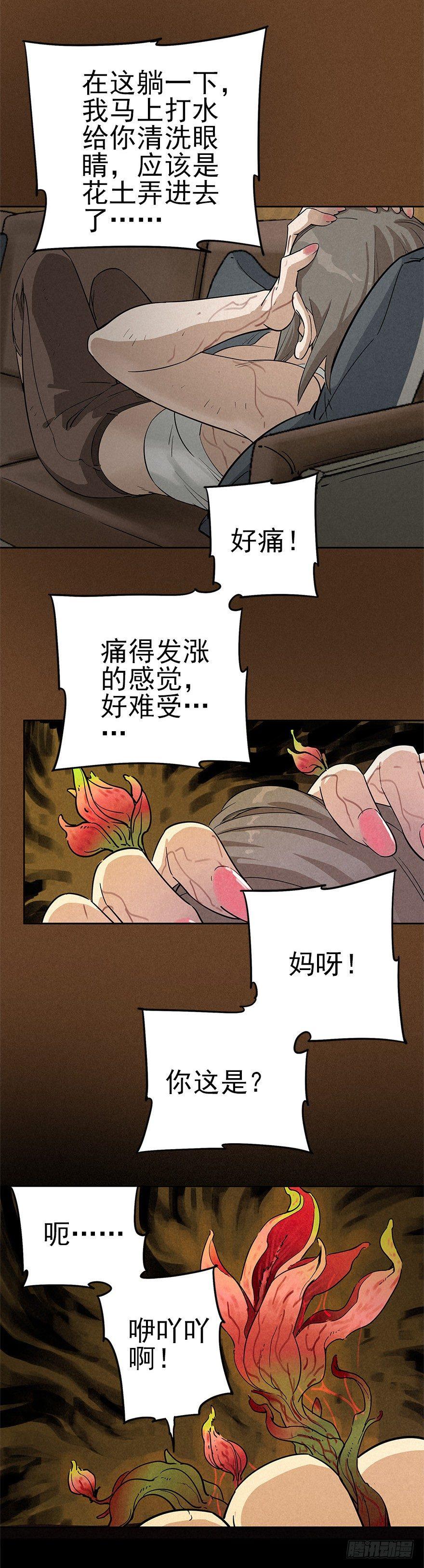 食材与甄选知识-第30话