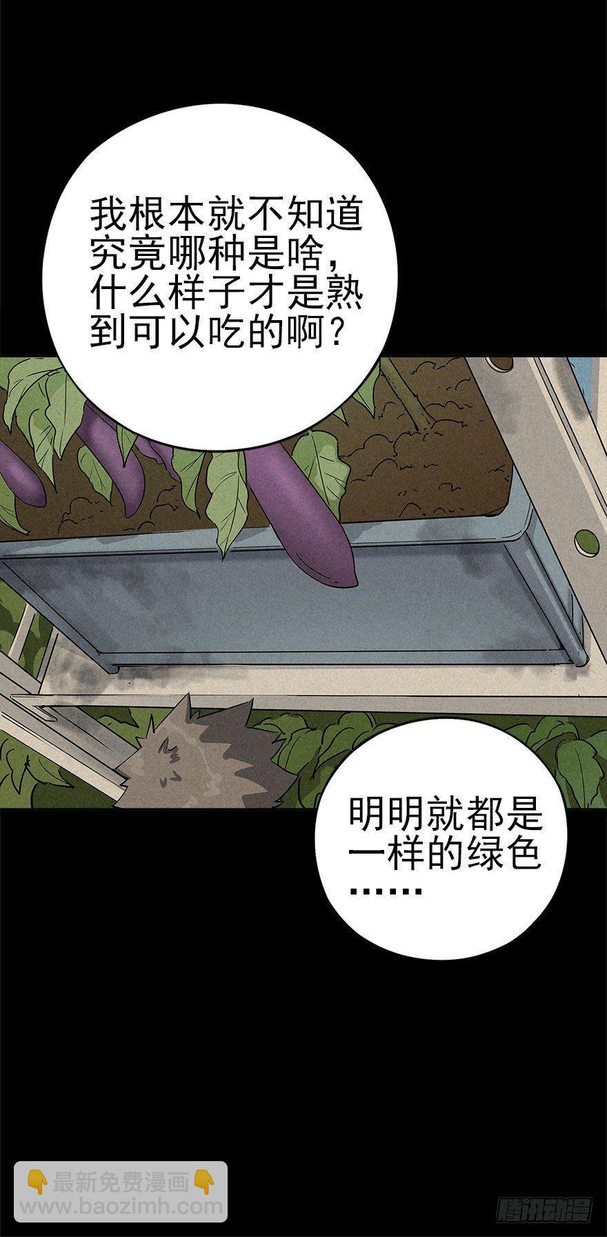 食材与甄选知识-第30话