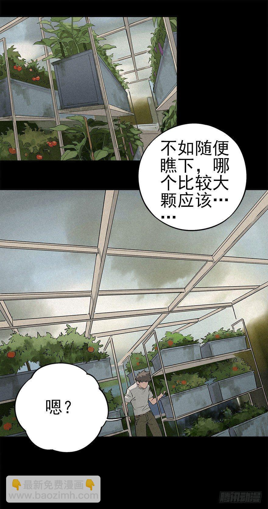 食材与甄选知识-第30话