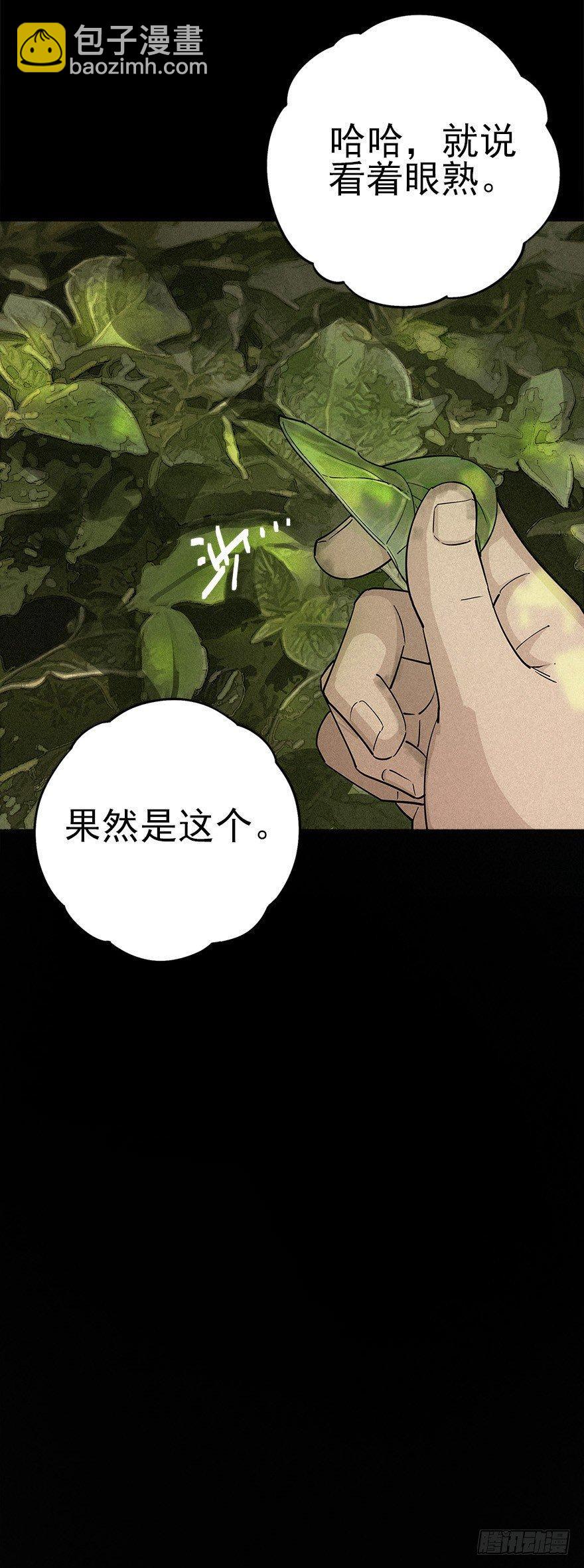 食材与甄选知识-第30话