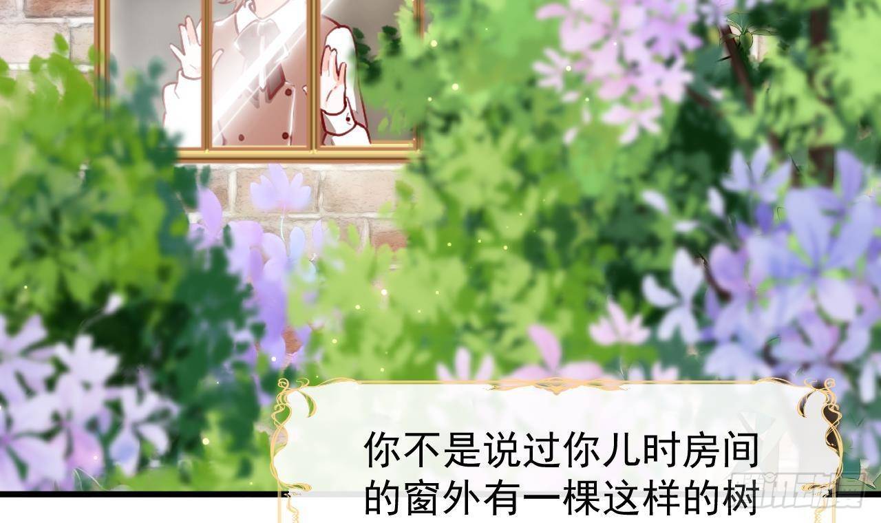 第10话 花园舞会(1/2)-第12话