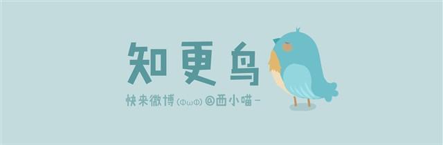 知更鸟-第6话