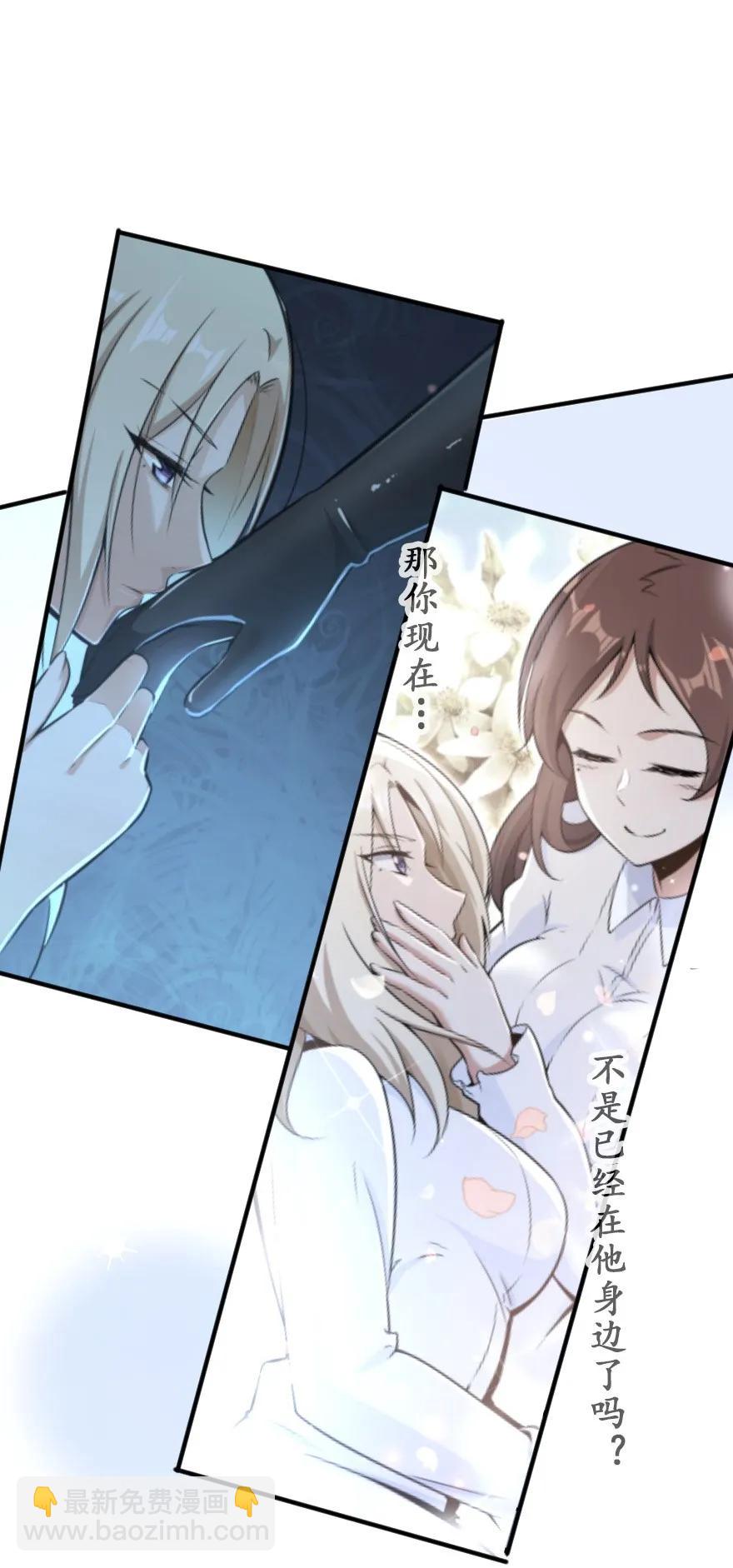 🍻放开那个女巫 116 致薇罗妮卡 第40页