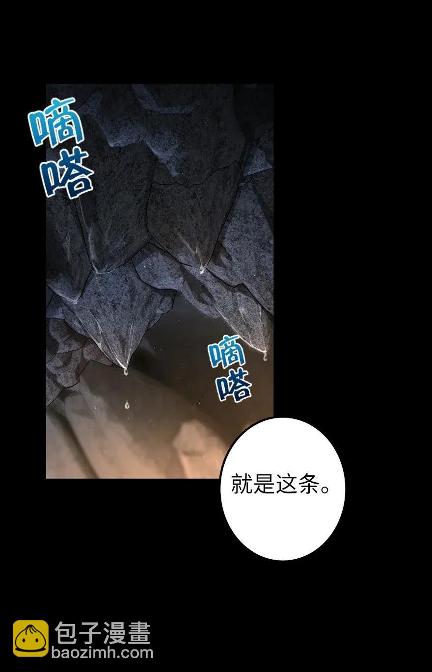 🍻放开那个女巫 167 北坡矿山 第39页