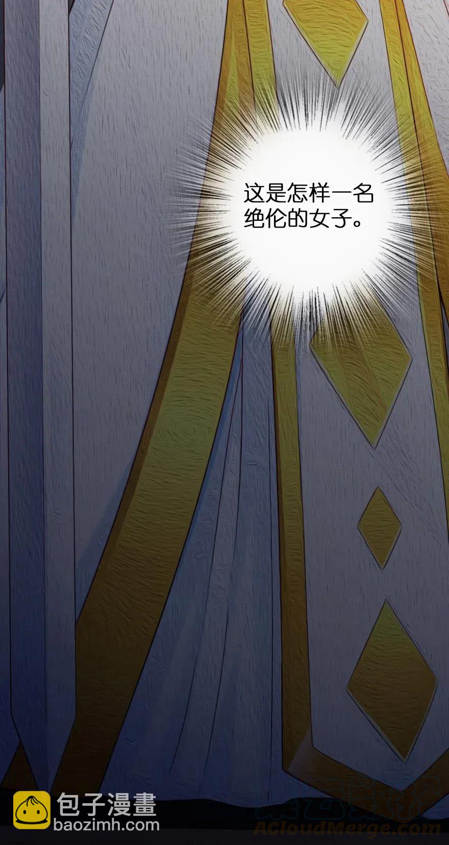 🍻放开那个女巫 217 先驱者们 第21页
