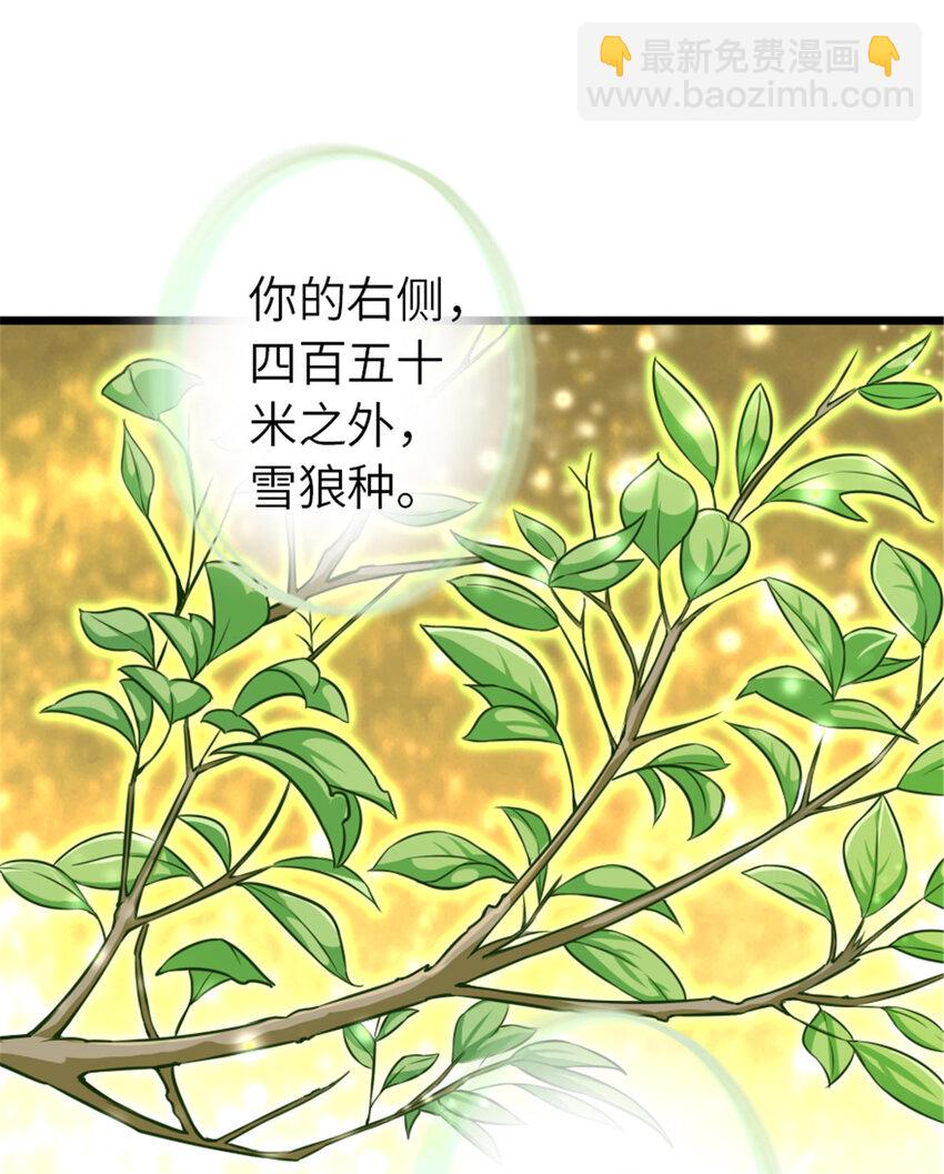 🍻放开那个女巫 405 狩猎大赛 第50页
