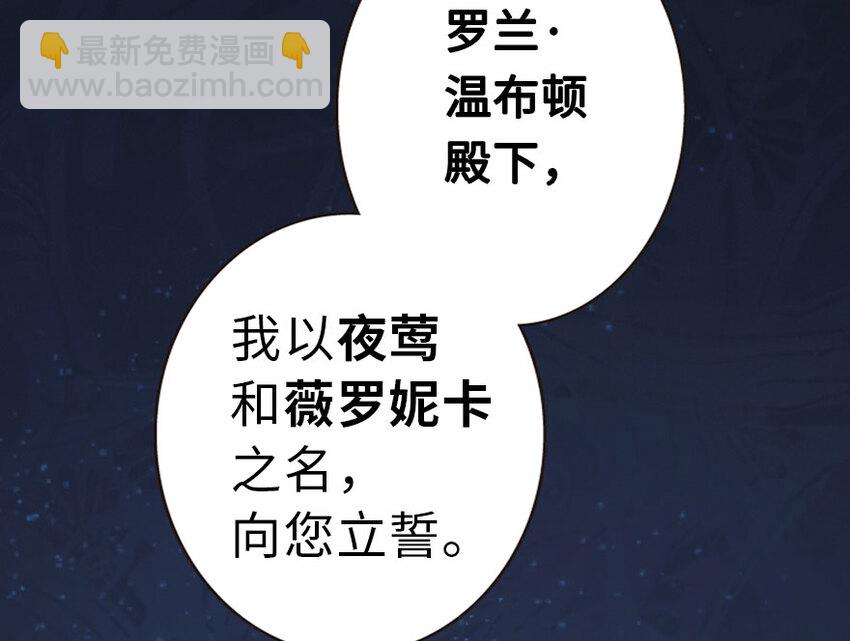 🍻放开那个女巫 45 向您立誓 第43页