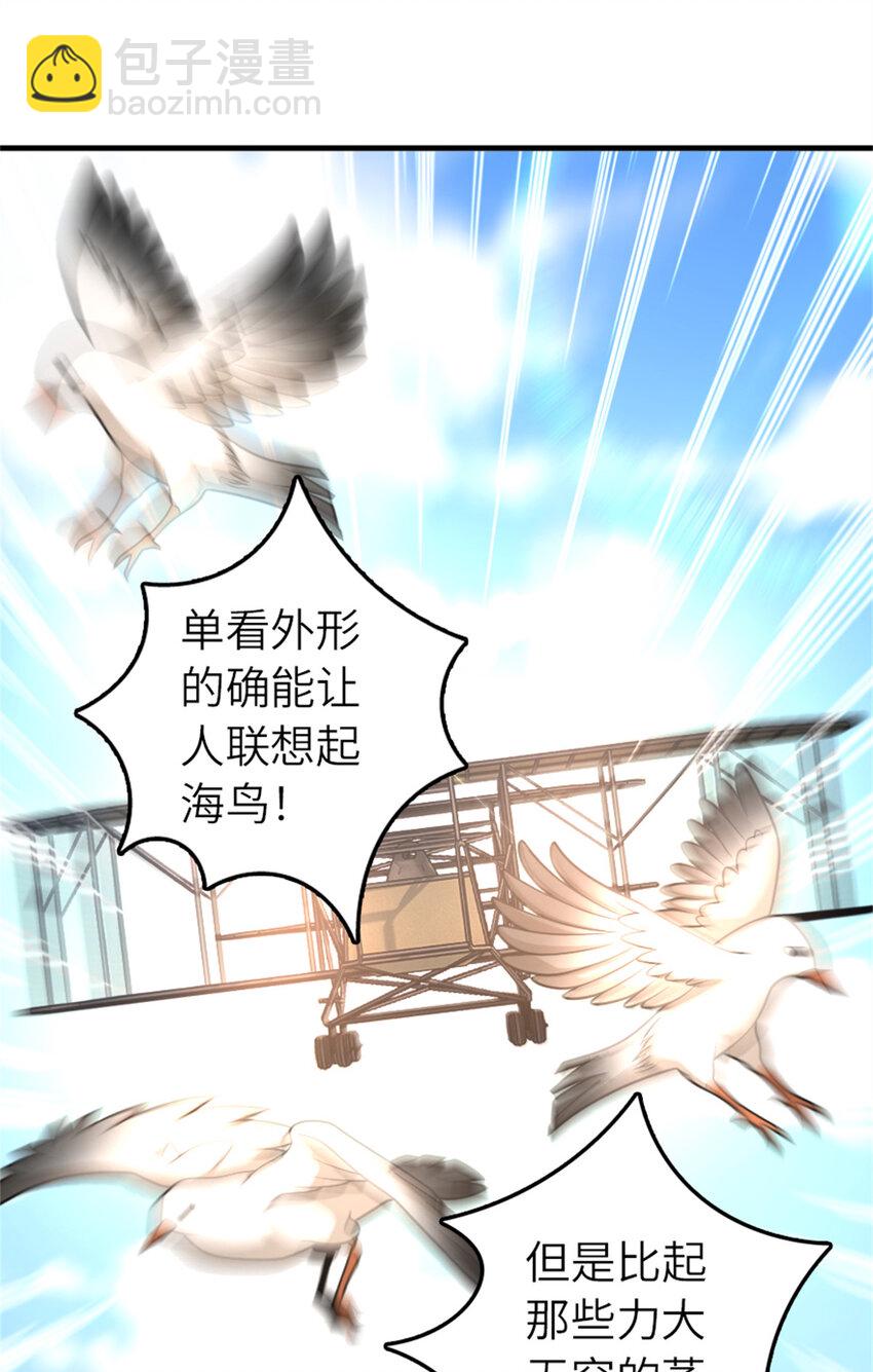 🍻放开那个女巫 579 滑翔之翼 第11页