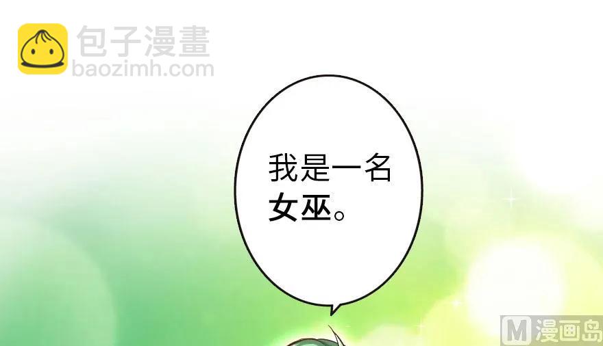 🍻放开那个女巫 69 我是一名女巫 第31页