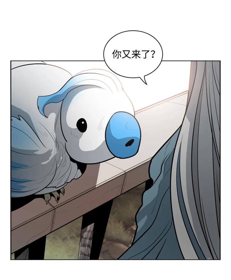 13 大师凯恩(1/2)-第14话