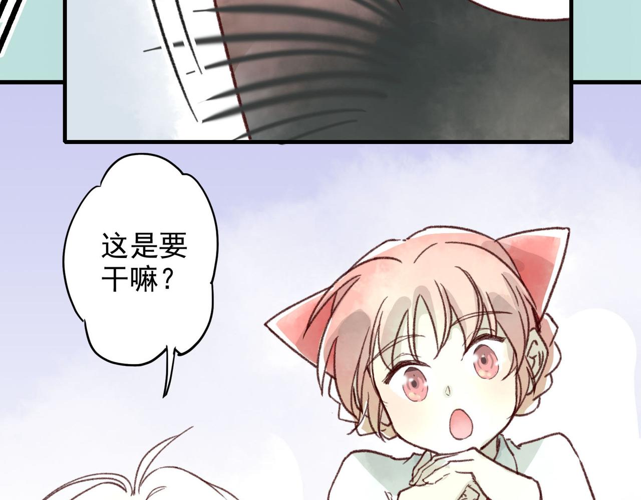 第10话 让猫开心的方法？(1/3)-第10话