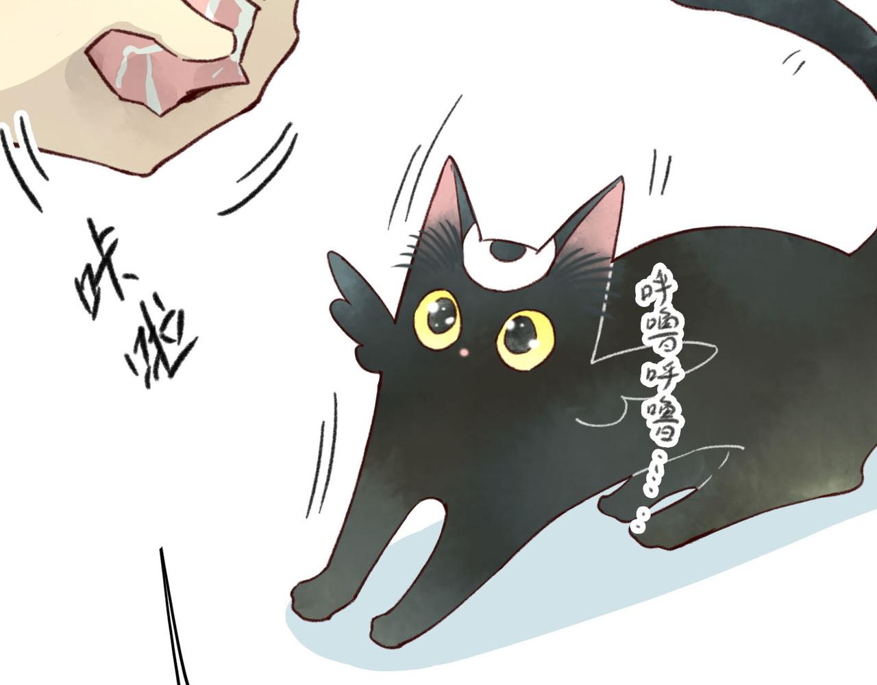 第10话 让猫开心的方法？(1/3)-第10话