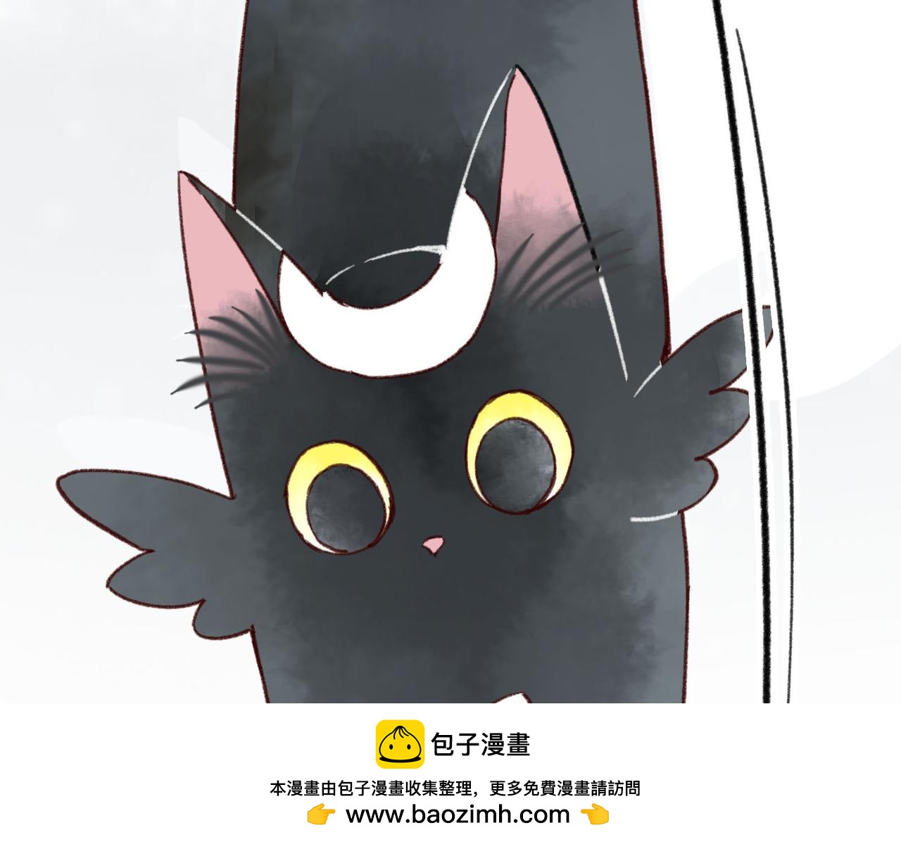 第10话 让猫开心的方法？(1/3)-第10话