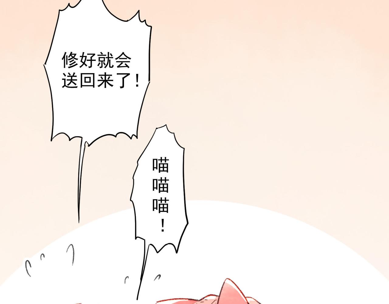 第10话 让猫开心的方法？(1/3)-第10话