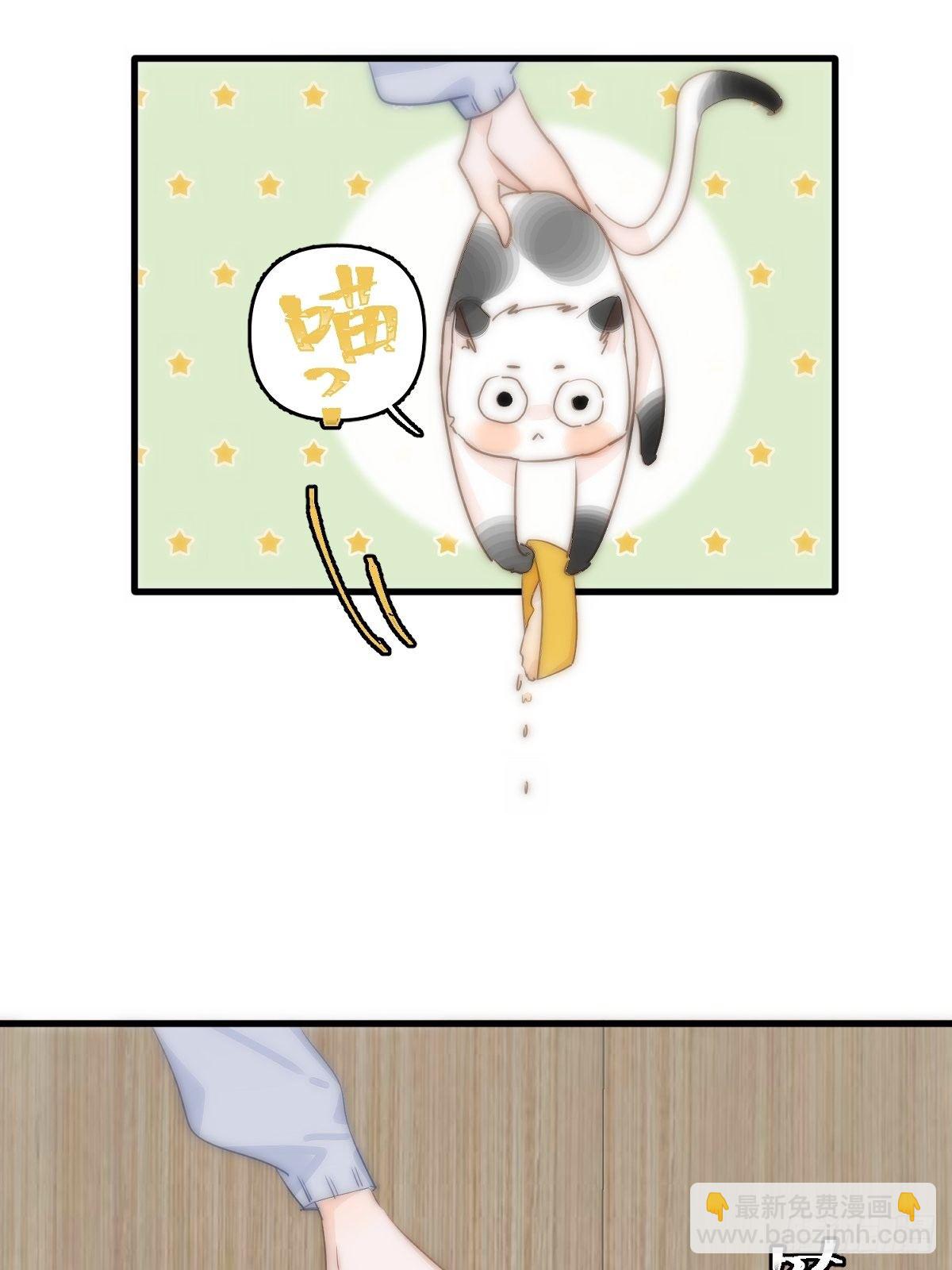 第10话 我服了你！(1/2)-第12话