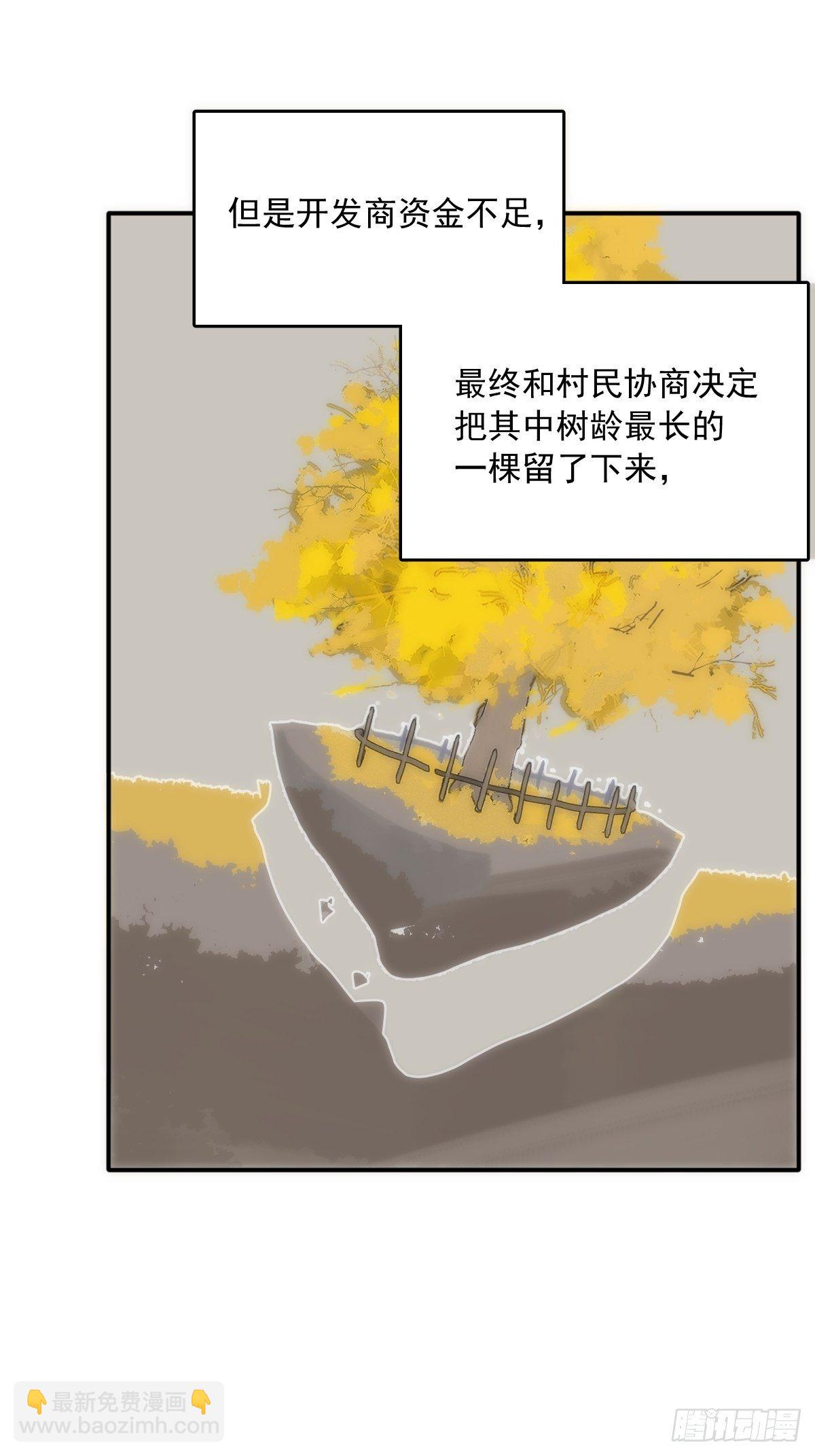 第23话 杏林村(1/2)-第24话