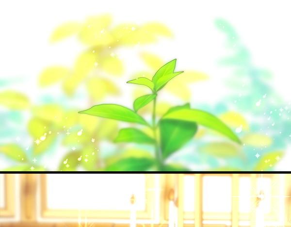 第120话 完美的生日(1/5)-第128话