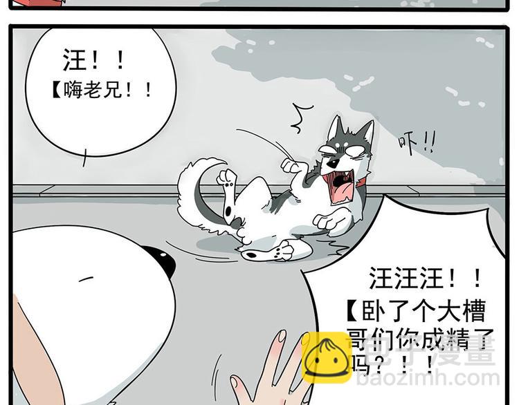 第6话-第2话