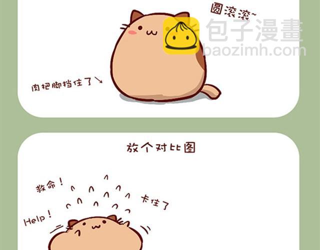 肥喵是怎么肥起来的-第2话