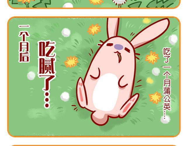 黑帮老大的烦恼(1/2)-第14话