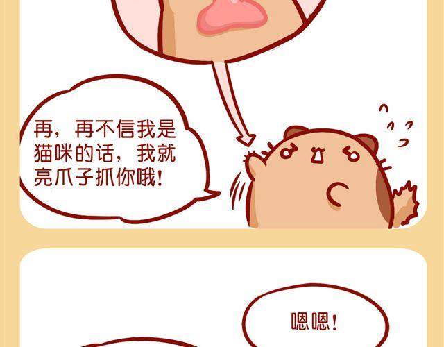 肥喵是猫哦-第18话