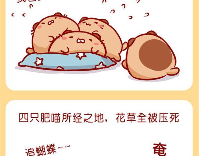 肥喵是猫哦-第18话
