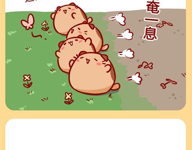 肥喵是猫哦-第18话