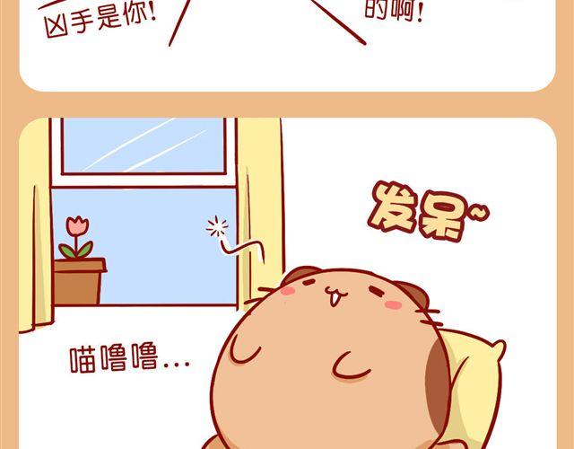 今天肥喵看家-第20话