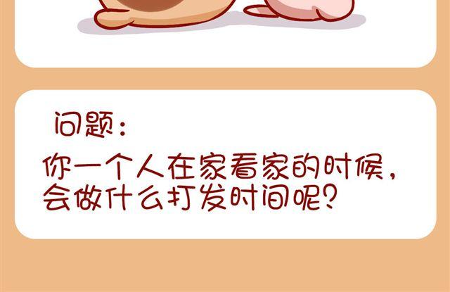 今天肥喵看家-第20话
