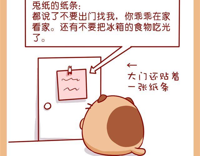 今天肥喵看家-第20话