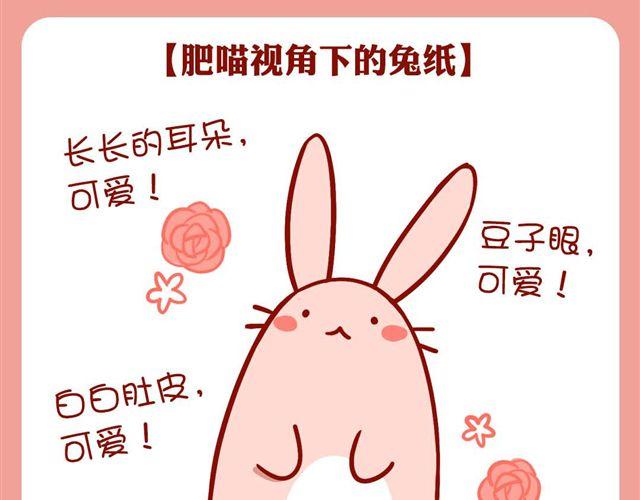 简单快速懒人盖饭-第22话