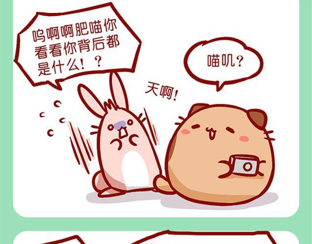 如何饲养一只肥喵-第10话