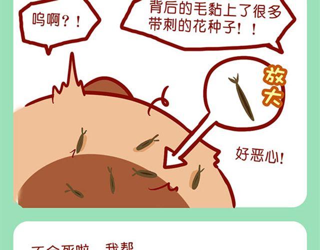 如何饲养一只肥喵-第10话