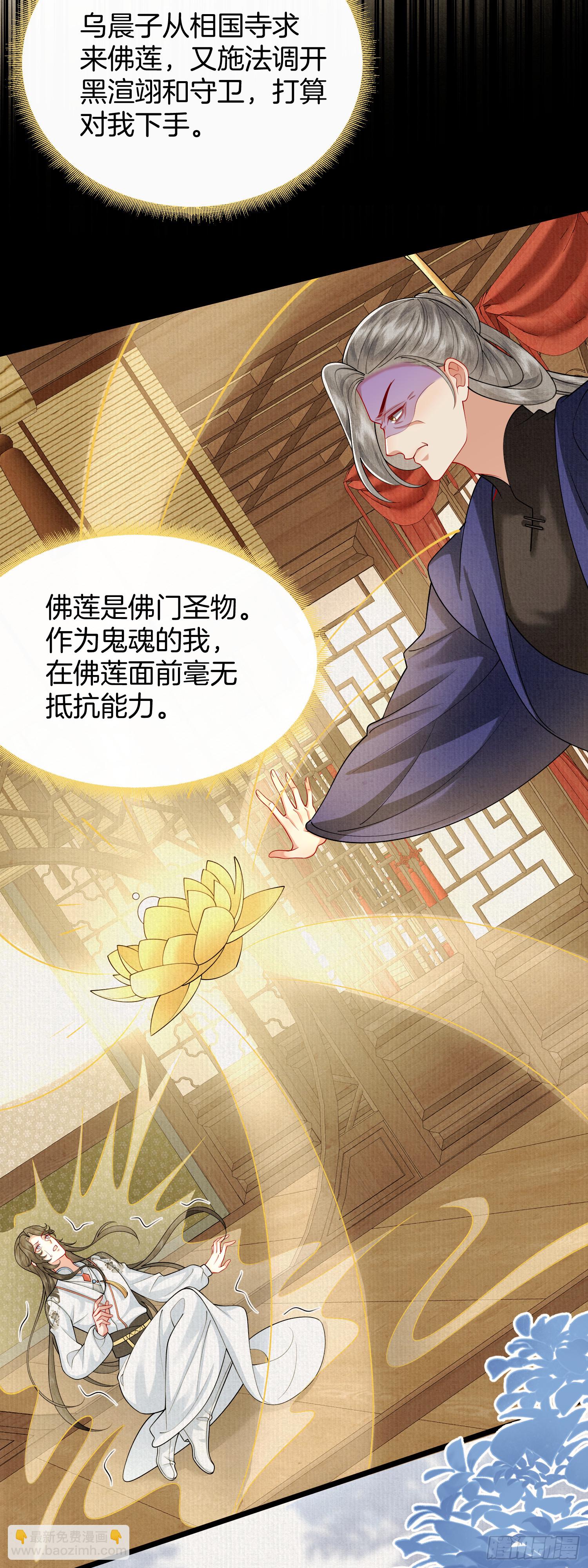 🍻废妻重生 50.丢失的记忆 第26页